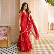 Tango Draped Saree with Blouse - Image 4